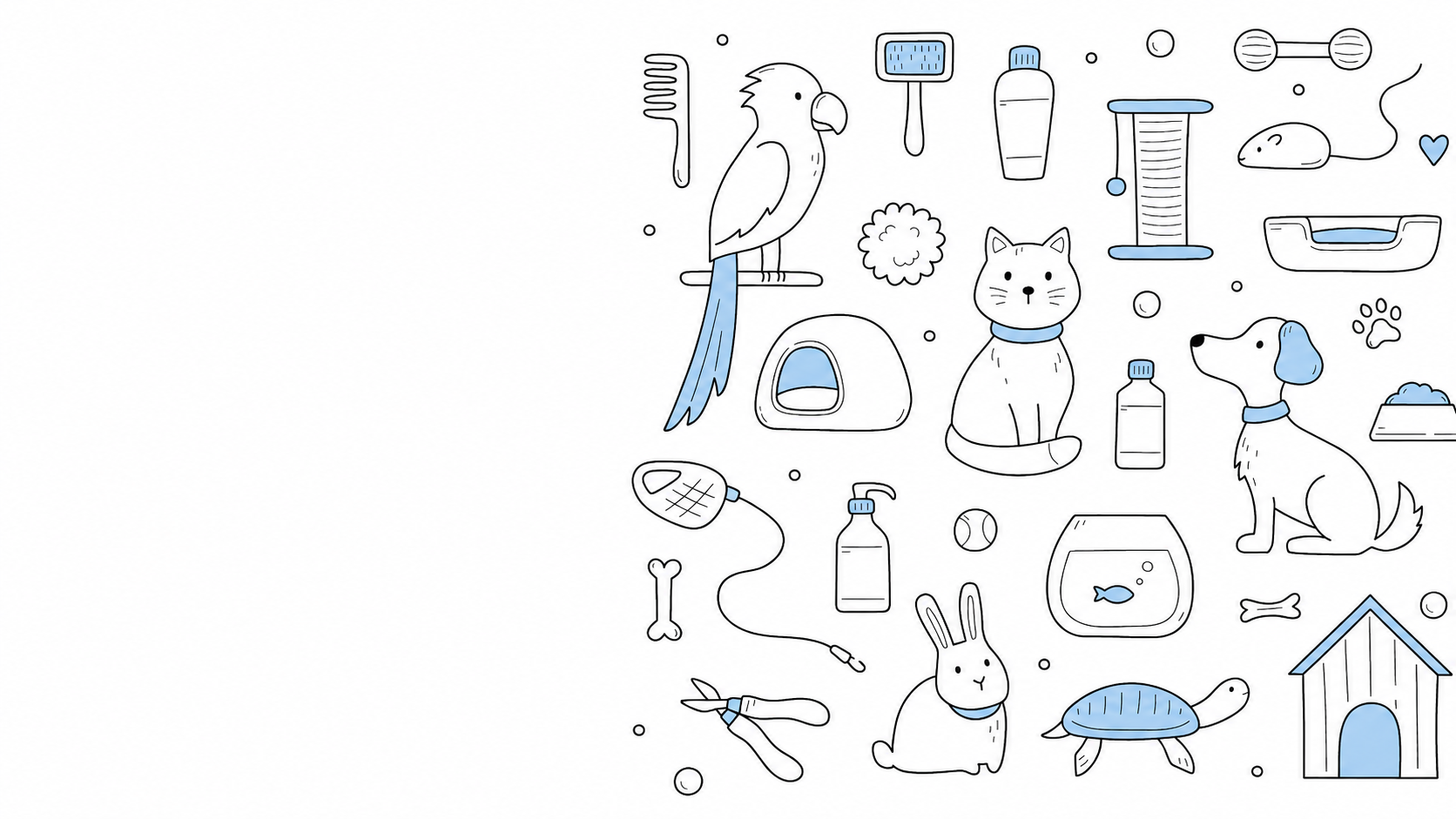 Save More on Amazon Products Every Day